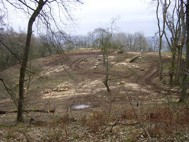 Soil Disturbance and Brash Fires on Midsummer Hill Hillfort