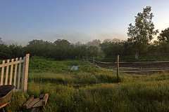 IMG_9995
