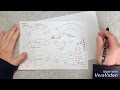 √1000以上 リボン　書き方 790892-リボン 書き方 イラレ