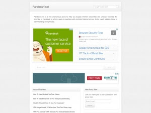 pandasurf.net