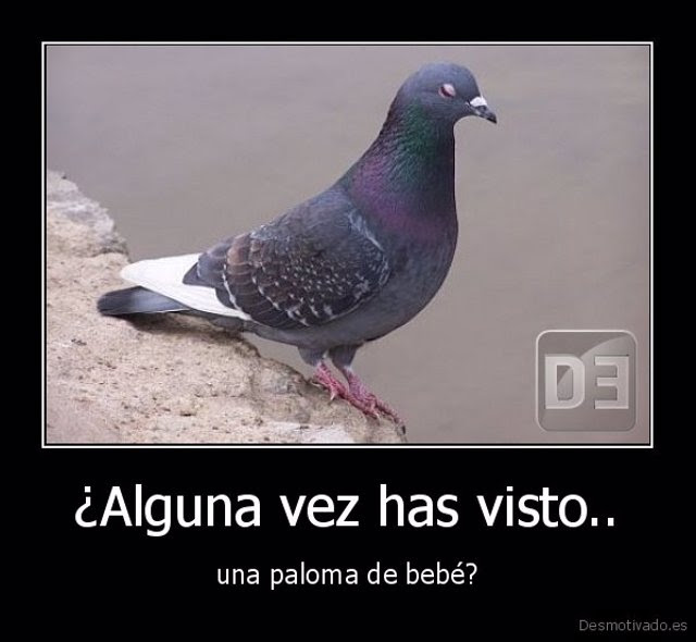 meme2