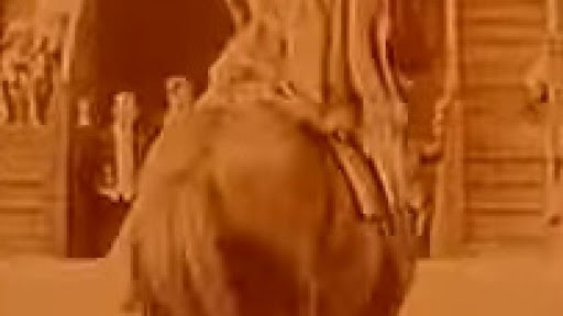 صورة