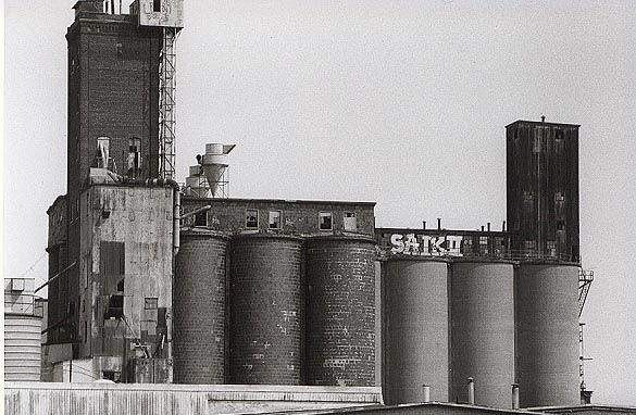 Spek's photo of Malt in 1996