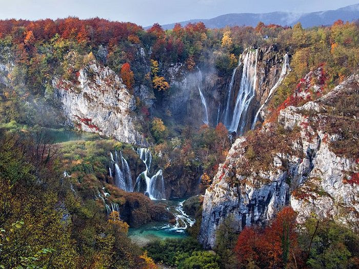 National                                                          Geographic                                                          2015