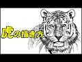 リアル 正面 ライオン イラスト 335489