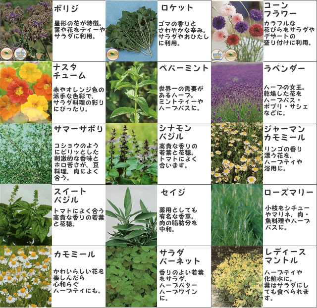 ハーブ種類