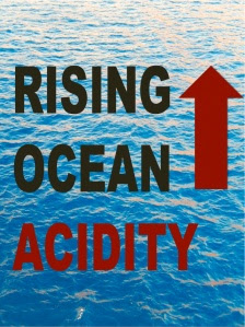 OCEAN-ACIDITY