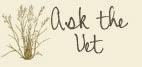 Photo Sharing and Video Hosting at Flickr