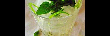 Spearmint Cordial Free Download Audio Mp3 and Mp4