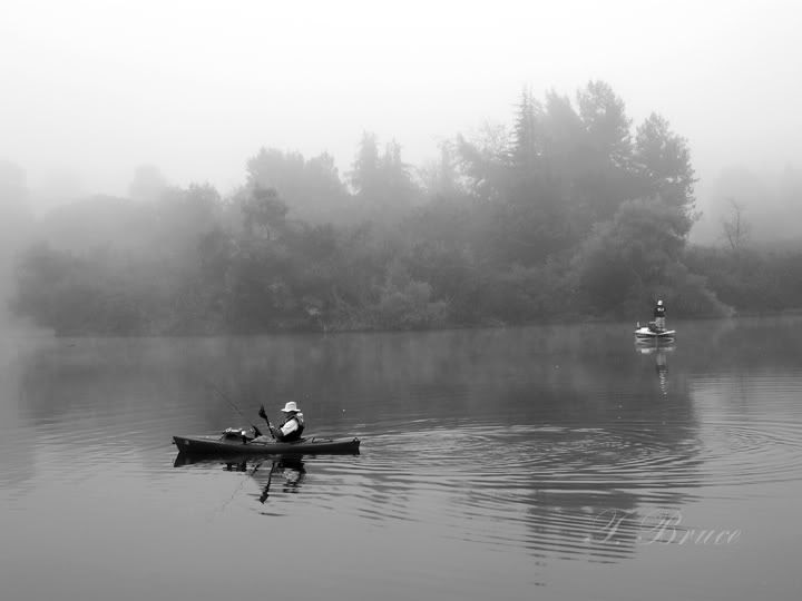 Foggy Boat Ride