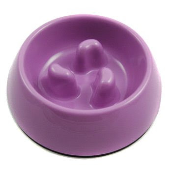 Healthy Diet Slow-Eating