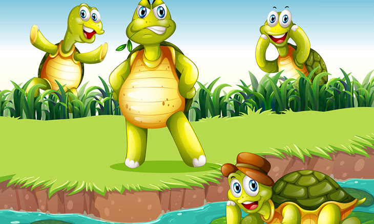 Quatro tartarugas