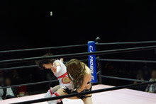 包装資材の専門商社 タミヤ