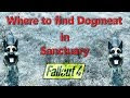 Dog Houses In Sanctuary Hills