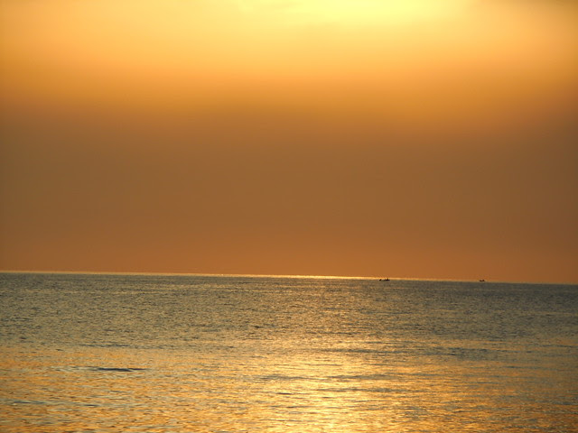 DSCN0164