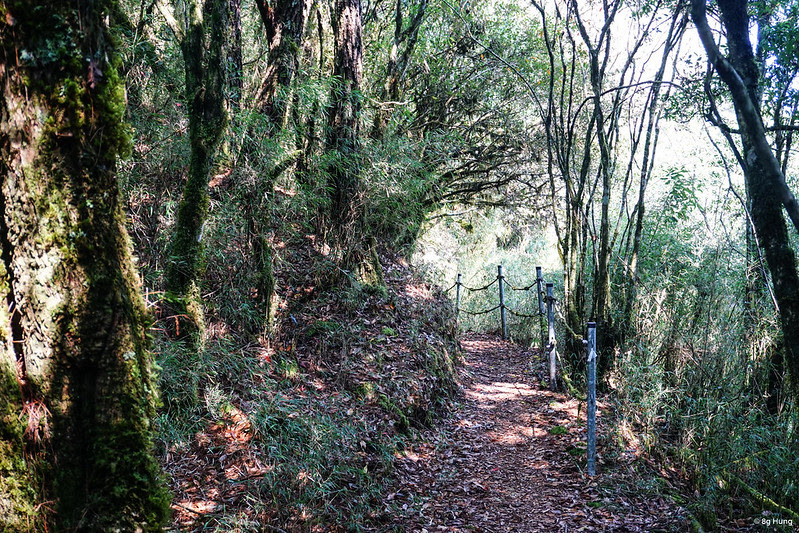 DSC10003