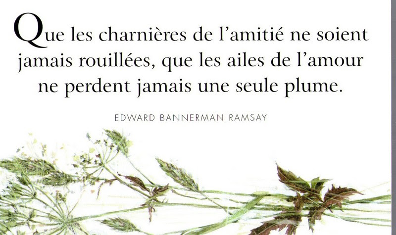 Citations Sur L Amitie Le Monde De La Philo Et De La Poesie