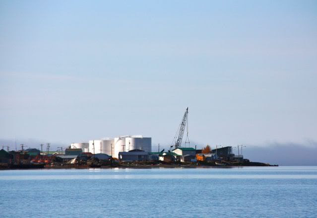 kotzebue