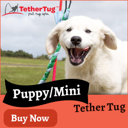 Puppy/Mini Tether Tug