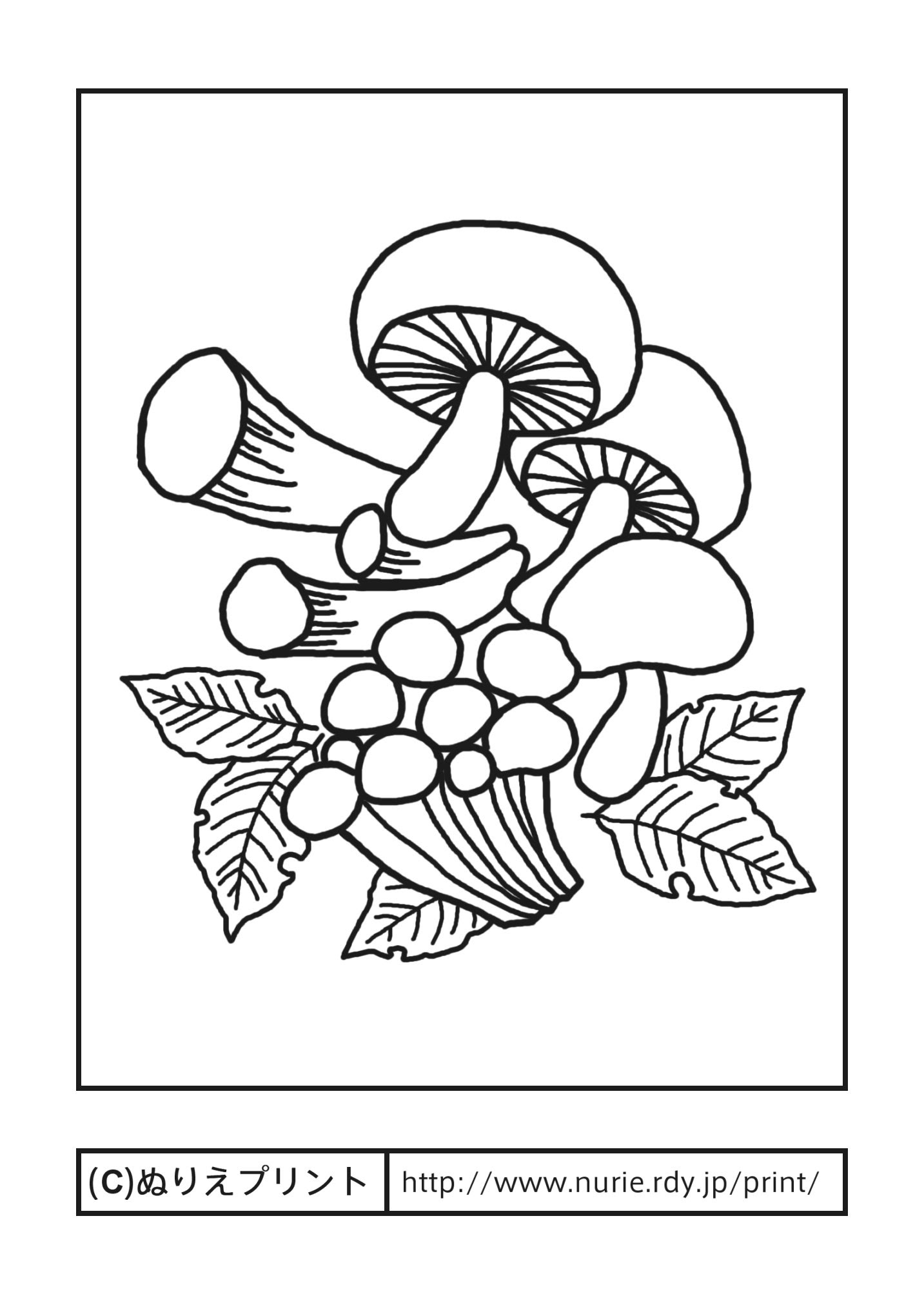 画像をダウンロード 大人 秋 塗り絵 イラスト さことめ