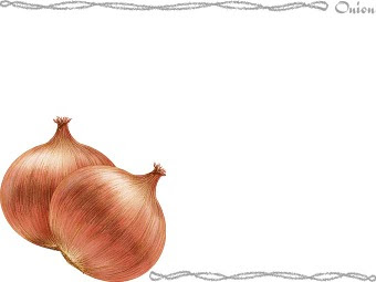 玉葱 タマネギ のイラスト 条件付フリー素材集
