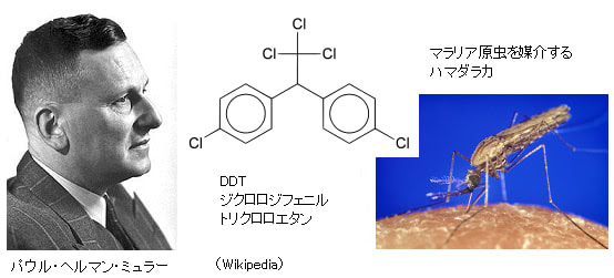 第48回ノーベル生理学 医学賞パウル ヘルマン ミュラー Ddt殺虫効果の発見 サイエンスジャーナル