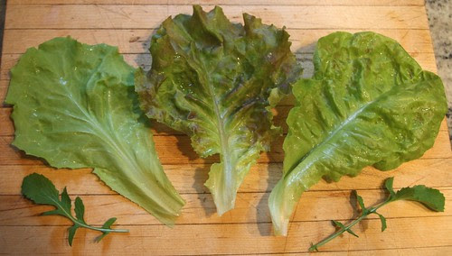 three lettuce leaves