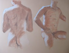 Male Torso Studies