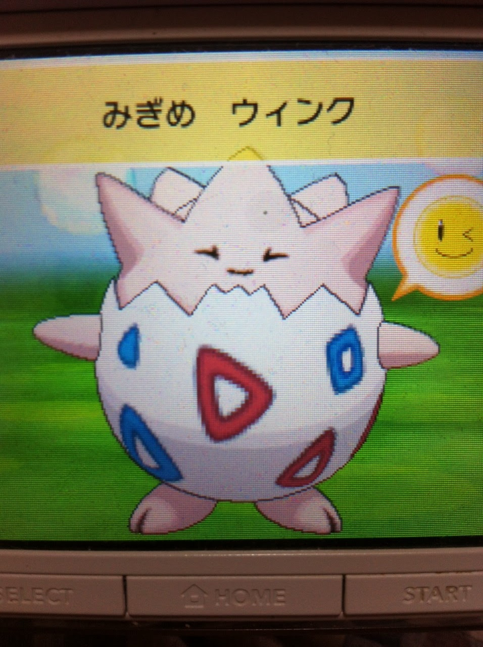 色違いに釘付け