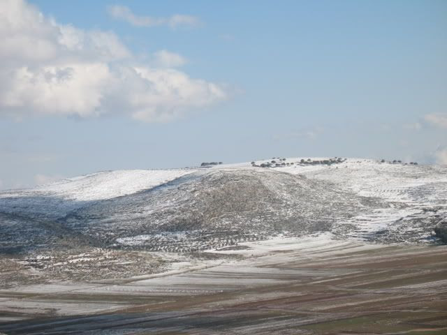 Shiloh Snow 8
