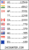 visitors by country counter