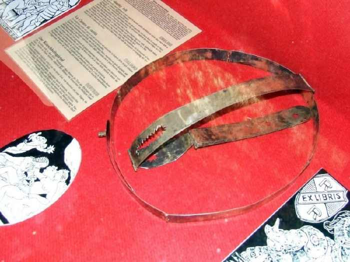 Kuntskamera, St. Petersburg 44