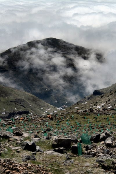 20090405-vs-3742