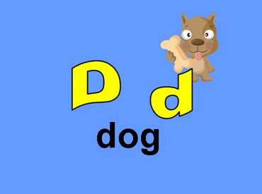 D d - Dog