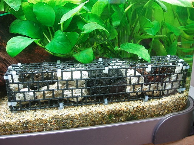 おととのアクア 建国の手伝い