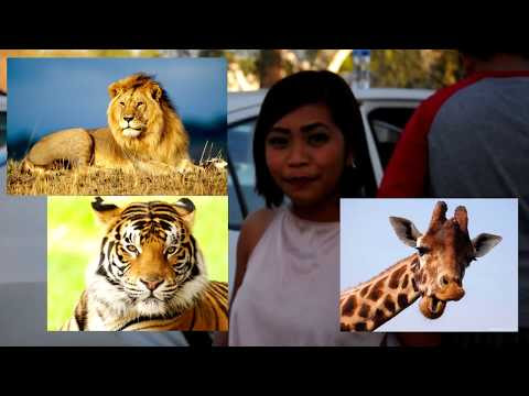 Al Ain Zootopia!