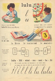 pigeon vole p5