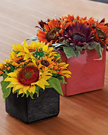 Horchow Faux Sunflowers