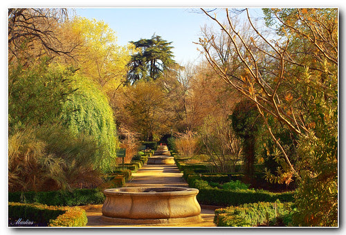 jardín botánico de madrid