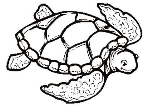 Free sea turtle coloring pages for adults and kids of all ages. sea turtle coloring pages for adults at getcoloringscom free