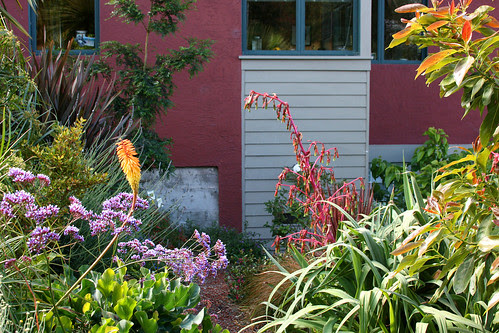 hillside beds