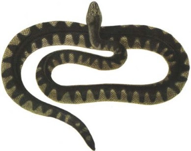 s22