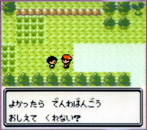 たたかう どうぐ ポケモン にげる 額縁へのボケ ボケて Bokete