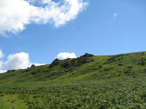 Dartmoor ridge