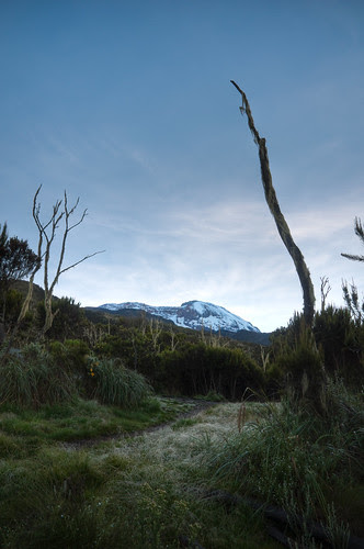 Kilimanjaro 016