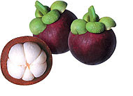 Mangosteen Fruit