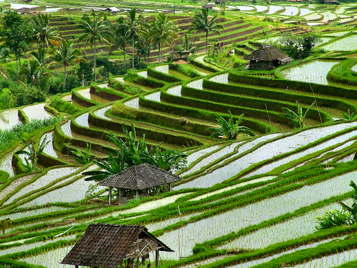 Indonesië: kies je eigen eiland  Reisaddict.nl