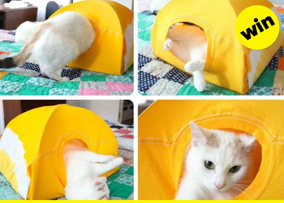 DIY a cat tent.