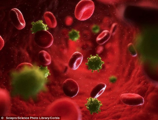 Engineered molecules kill HIV infected cells and could Engineered molecules kill HIV infected cells and could