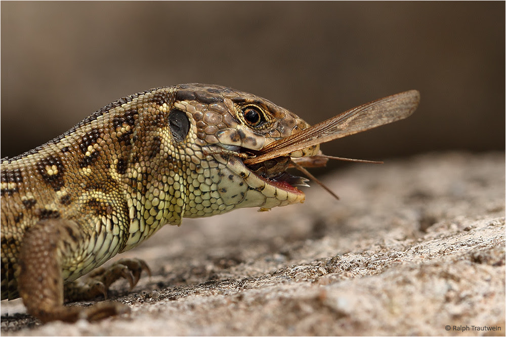 actal popular nature photos